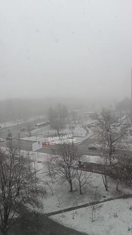 VID_20221213_150054_391