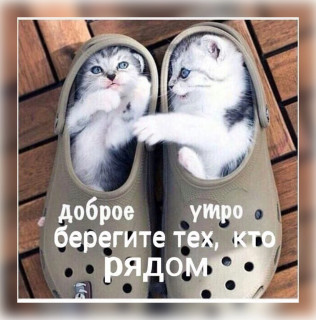 9uTUzly1kFs