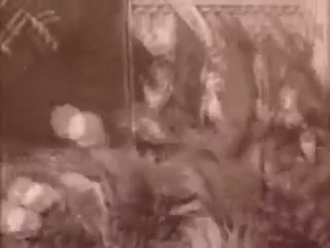 _СЕКТОР_ГАЗА_-_TУМАН_