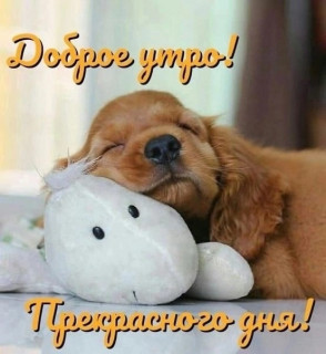 6xxJEZcy5vE
