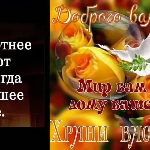 video-c2bca714afa8d70d5daf6008762edcb7-V