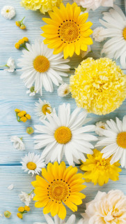 IMG-9999fc5e63403c01da65ecc8889c48d1-V