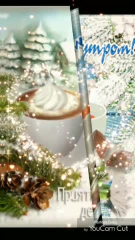 VID_20221220_055212_525