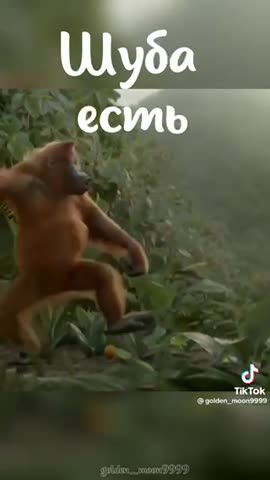 Никого не ищу