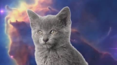 Space__Cats_Magic_Fly_Enjoykin_