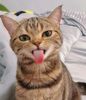 QWRkBdlI89c