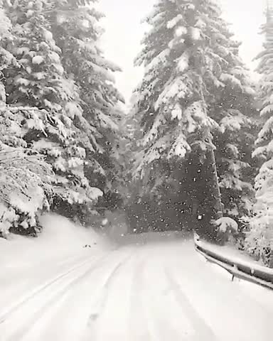 а снег идет