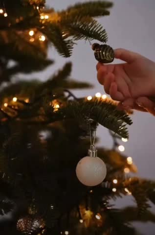 VID_20221221_134056_404