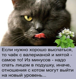 -Q_T80_mHdE