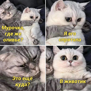 RlGuhwQuyDI