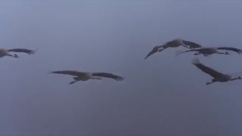 В__Сёмин__Осень_золотая_