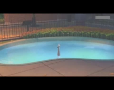 Video_20221224005210878_by_Viddo