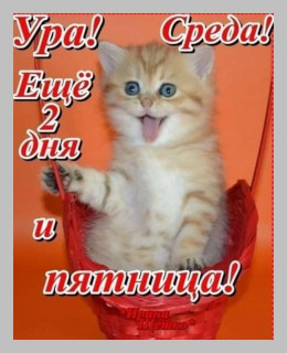 rTjwtlHREDE