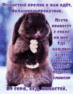 ukRYcZjJBOQ