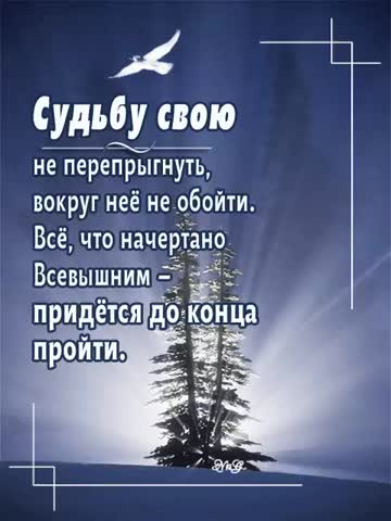 Дорога в новую жизнь