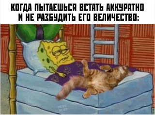 lTGyWZYhdDQ