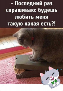O7kenJSIUwg