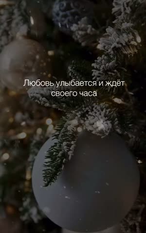 VID_20221225_191351_792