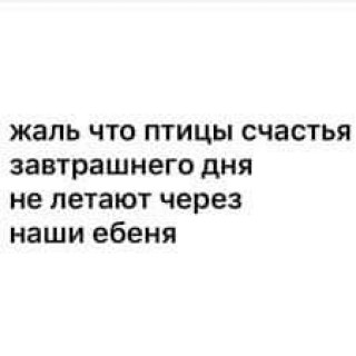 IMG_1672186052218