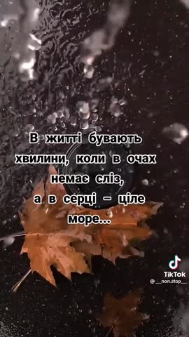 e6d7d950e5e72ad1248a3e653afd78ad