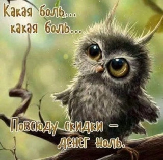 qnnay6tQyGs