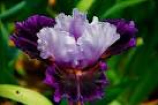 images-22