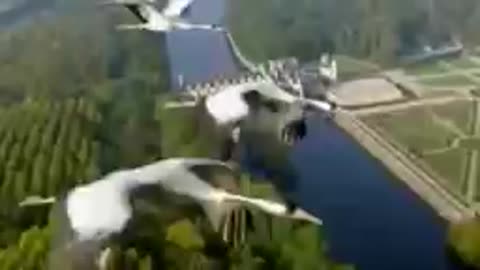 Который_раз_слушаю_и_каждый_раз_волосы_дыбом_встают_Теперь_слушаю_эту_песню_когд