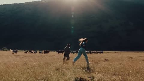 Мияги Эндшпиль - Silhouette