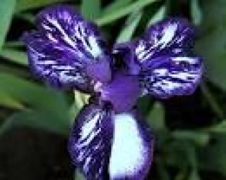 images-23