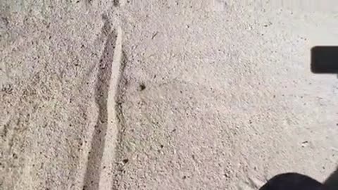 Filatov_and_Karas_and_Busy_Reno_-_Au_Revoir_Mood_Video