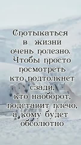 7071127980864441602_no_watermark