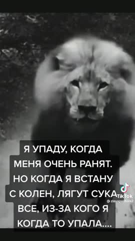 4041691854694c3609dc1fbe2f44f9dc