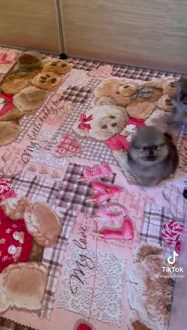 165f98f88c3d1c28e5ca912371c23ee0