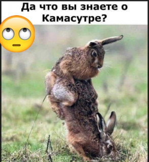 fa7hXTgnFhQ