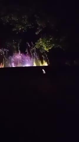 MP4_20220604_070812VLOG