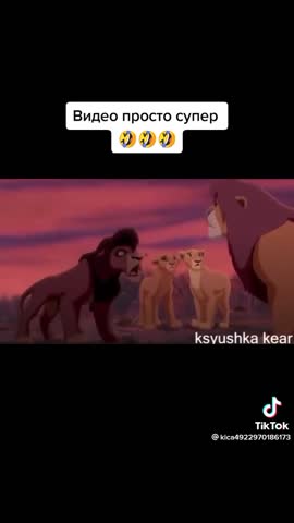 d0c78f96bbe30cf9ad9c4ac199b4dc83