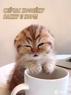 GVSzBfUlrMI