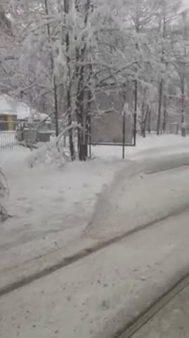 Дорога в парк 7 февраля 2018