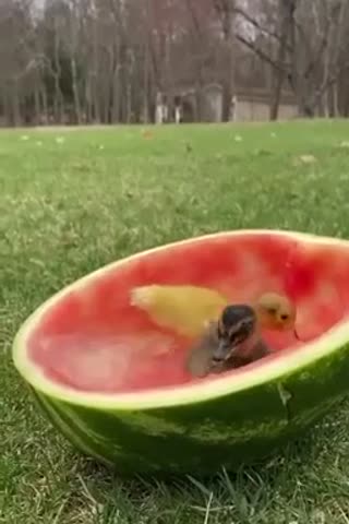 VID_20230127_174706_532