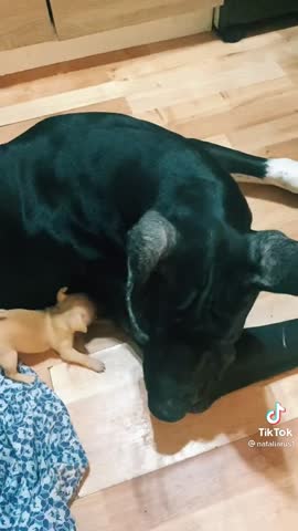 28f27513bcb0577b815835fb20ab9d7e