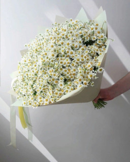 IMG-8f2df088c9c2f8eb3ede2a0937787851-V