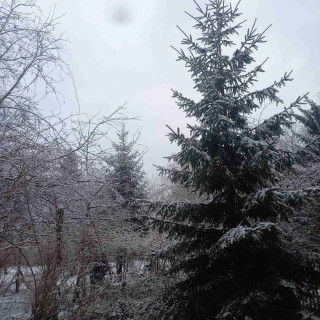 IMG-759d066f0a7545ebe357f887c723610e-V