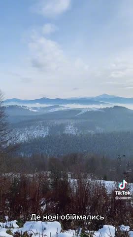 781b8c763fbceecce4439a47357af33d