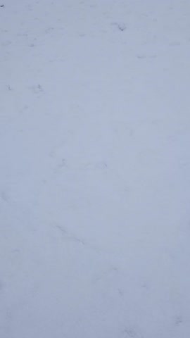 на белом покрывале