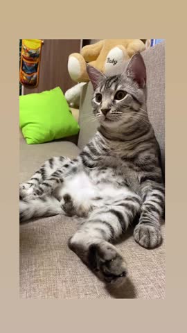 petrovna_lm_1674566169879