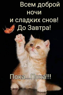 IMG-17cc517a0062728a8123fcbed000cb8c-V