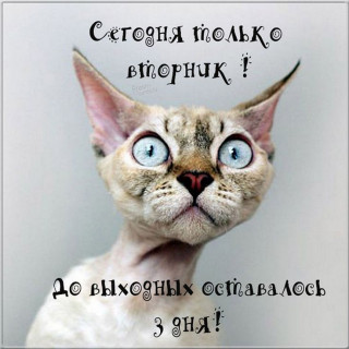 IMG-d5b7b52a3d2cadf39653e75fe49f0431-