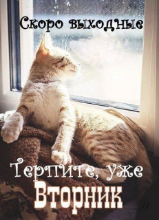 IMG-b8aac378c336637e2b64dddbe48df70a-