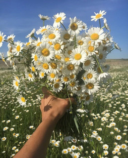 IMG-27d54c28ca8cddee1408f7b50cd5ca18-V