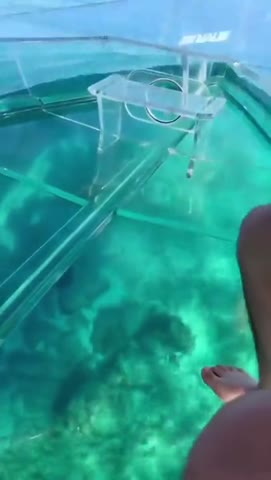 прозрачная_лодка